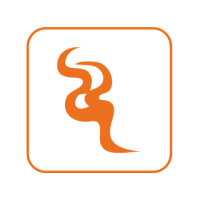 Satvision Детектор дыма